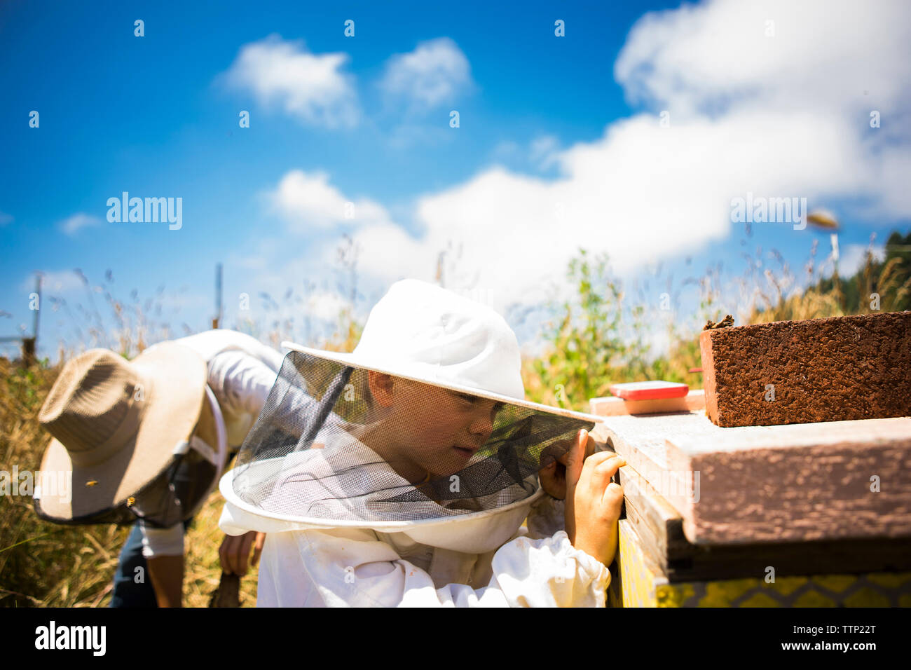 Mutter arbeiten, während Sohn stehen auf Feld während der sonnigen Tag Stockfoto