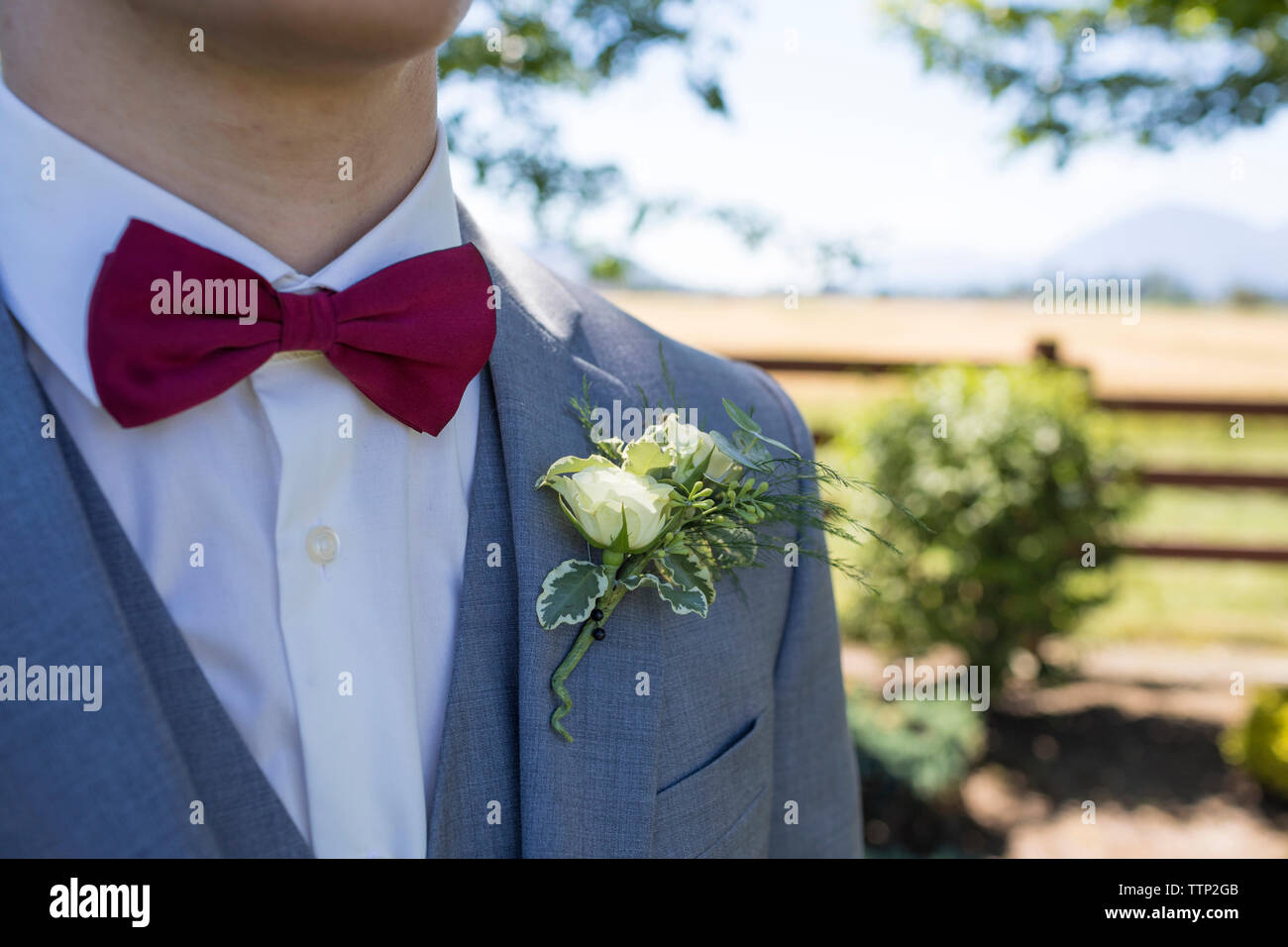 Zugeschnittenes Bild der Bräutigam trägt Anzug mit Anstecker während der  Hochzeit Stockfotografie - Alamy