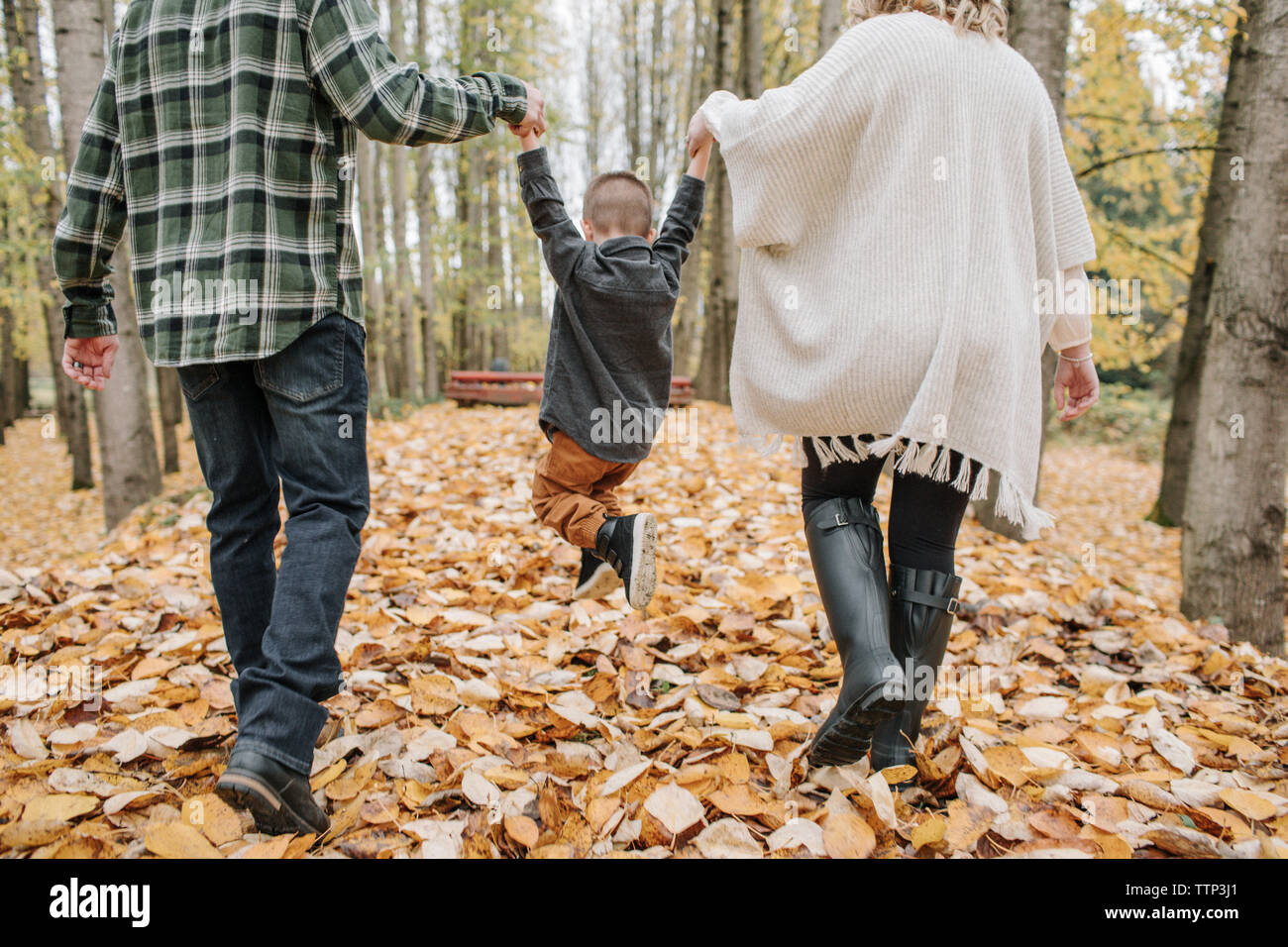 Ansicht der Rückseite des verspielten Eltern schwingen Sohn, während seine Hände in Wald im Herbst Stockfoto