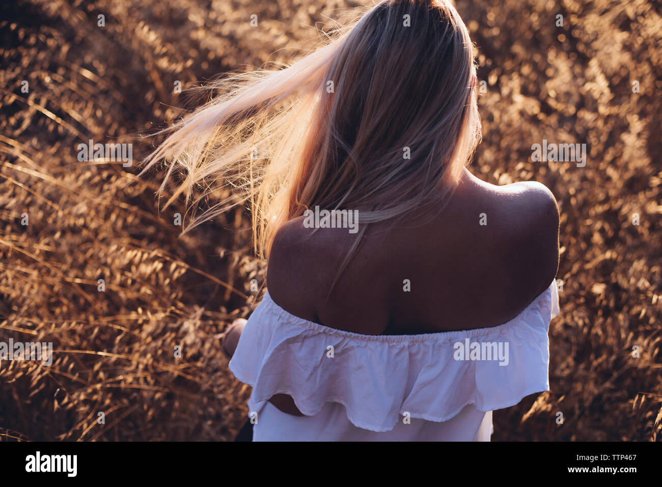 Ansicht der Rückseite Frau tragen Kleid stehend auf dem Feld Stockfoto
