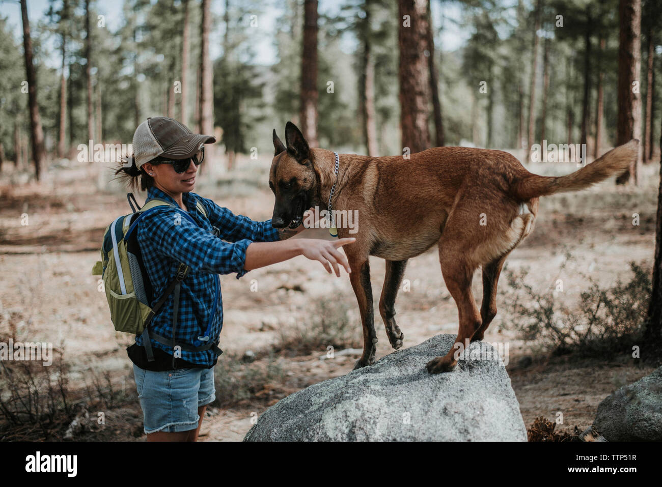 Seitenansicht der Frau mit Hund beim Stehen in Wald Stockfoto