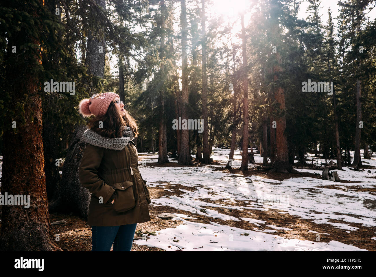 Frau tragen warme Kleidung beim Stehen im Wald im Winter Stockfoto