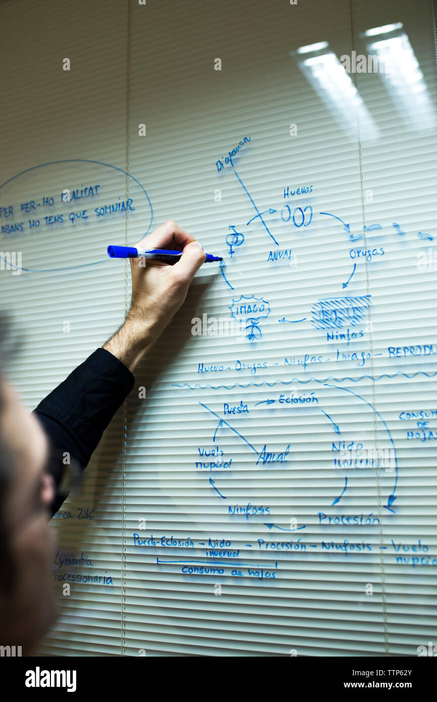 Ingenieur schreiben auf Whiteboard im Büro Stockfoto