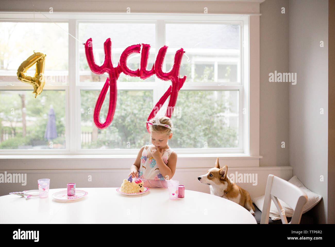 Süße Mädchen und corgi Hund am Tisch in Kuchen Feiern Stockfoto