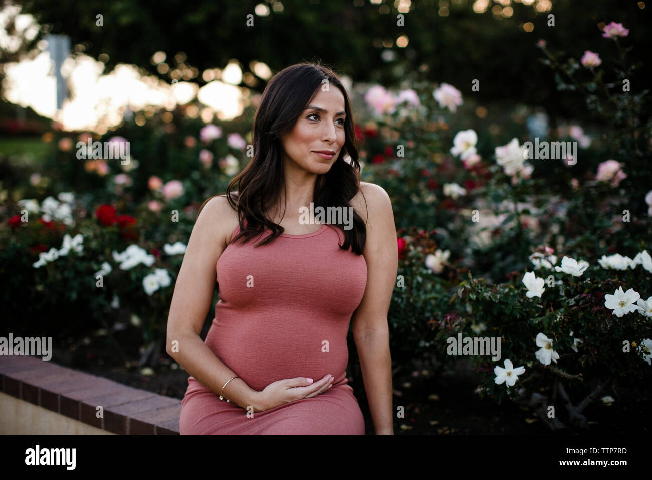Schwangere Frau mit der Hand am Bauch weg schauen während der Sitzung von Pflanzen im Park Stockfoto