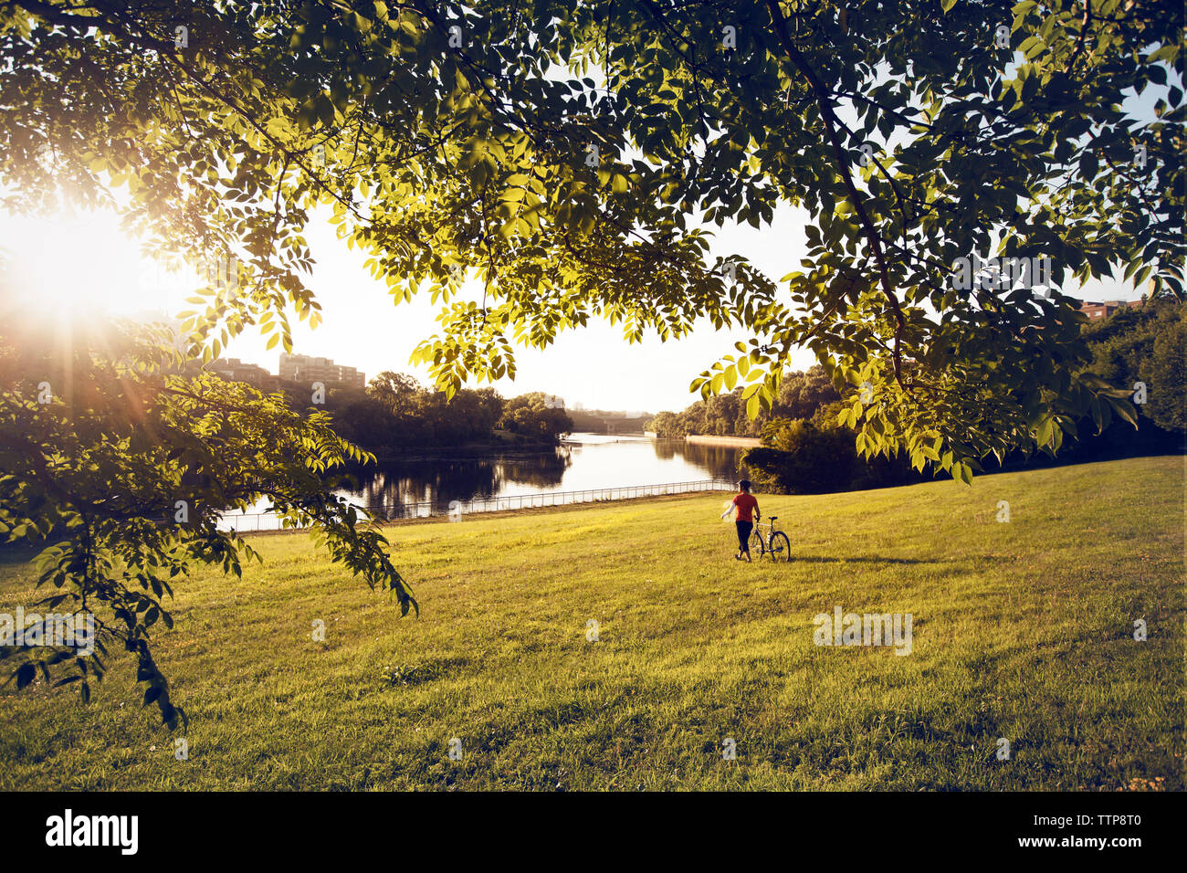 Mann mit Fahrrad auf der Wiese am See im Park während der sonnigen Tag Stockfoto
