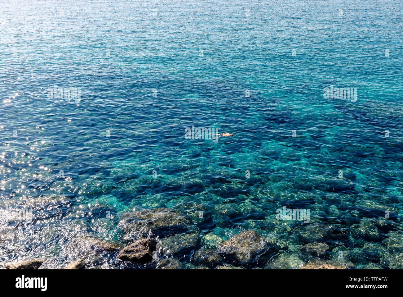 Fernsicht auf Person Schnorcheln im Meer Stockfoto
