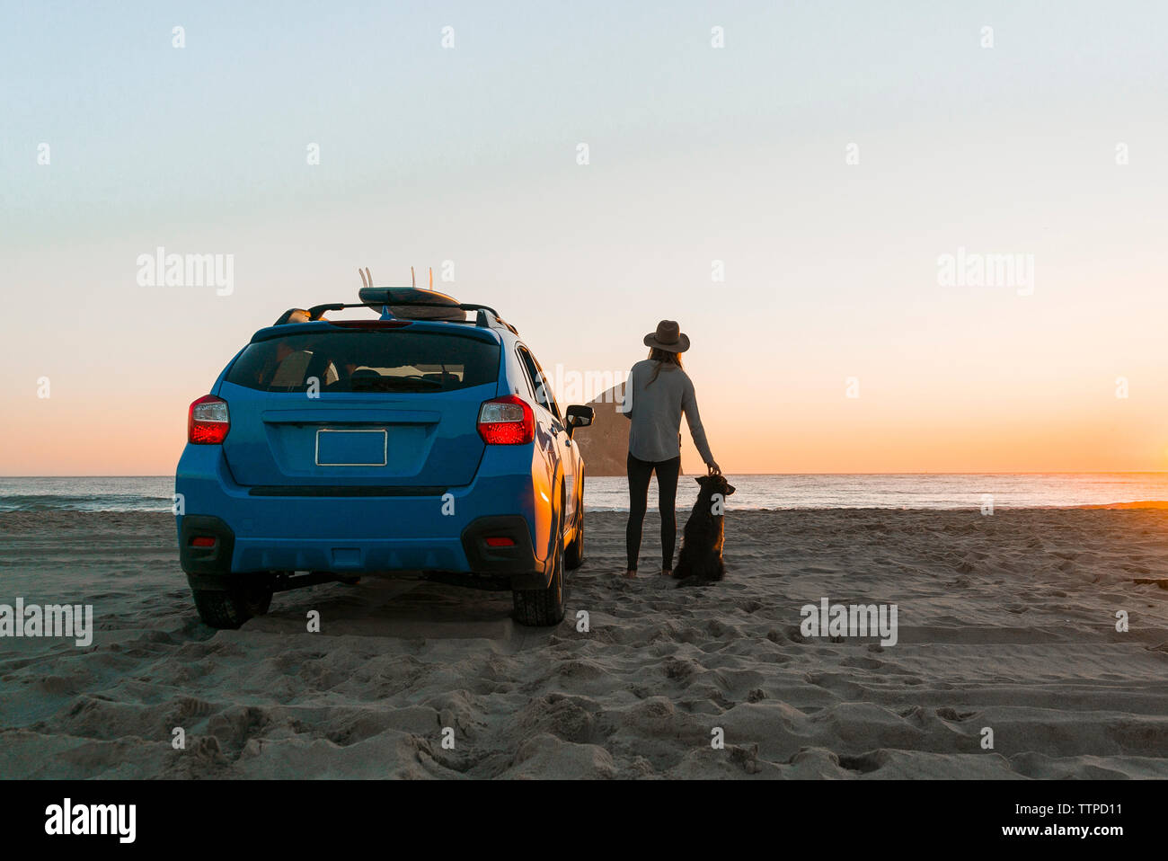 Ansicht der Rückseite Frau mit Hund stehen mit dem Auto am Strand Stockfoto