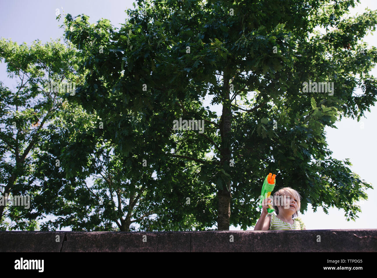 Low Angle View von Mädchen, dass Squirt gun gegen Bäume Stockfoto