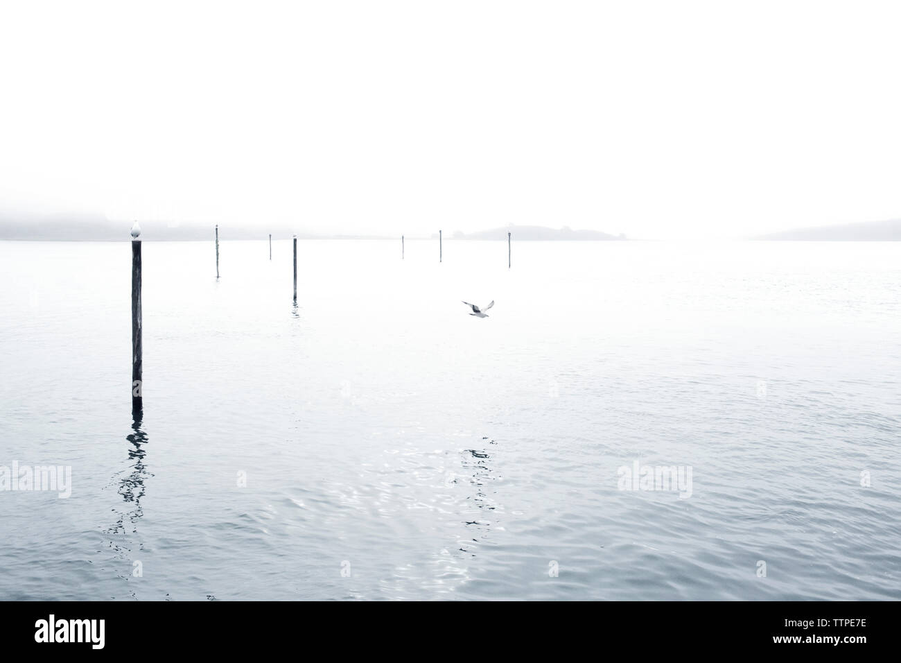 Malerische Aussicht auf Meer, klarer Himmel Stockfoto