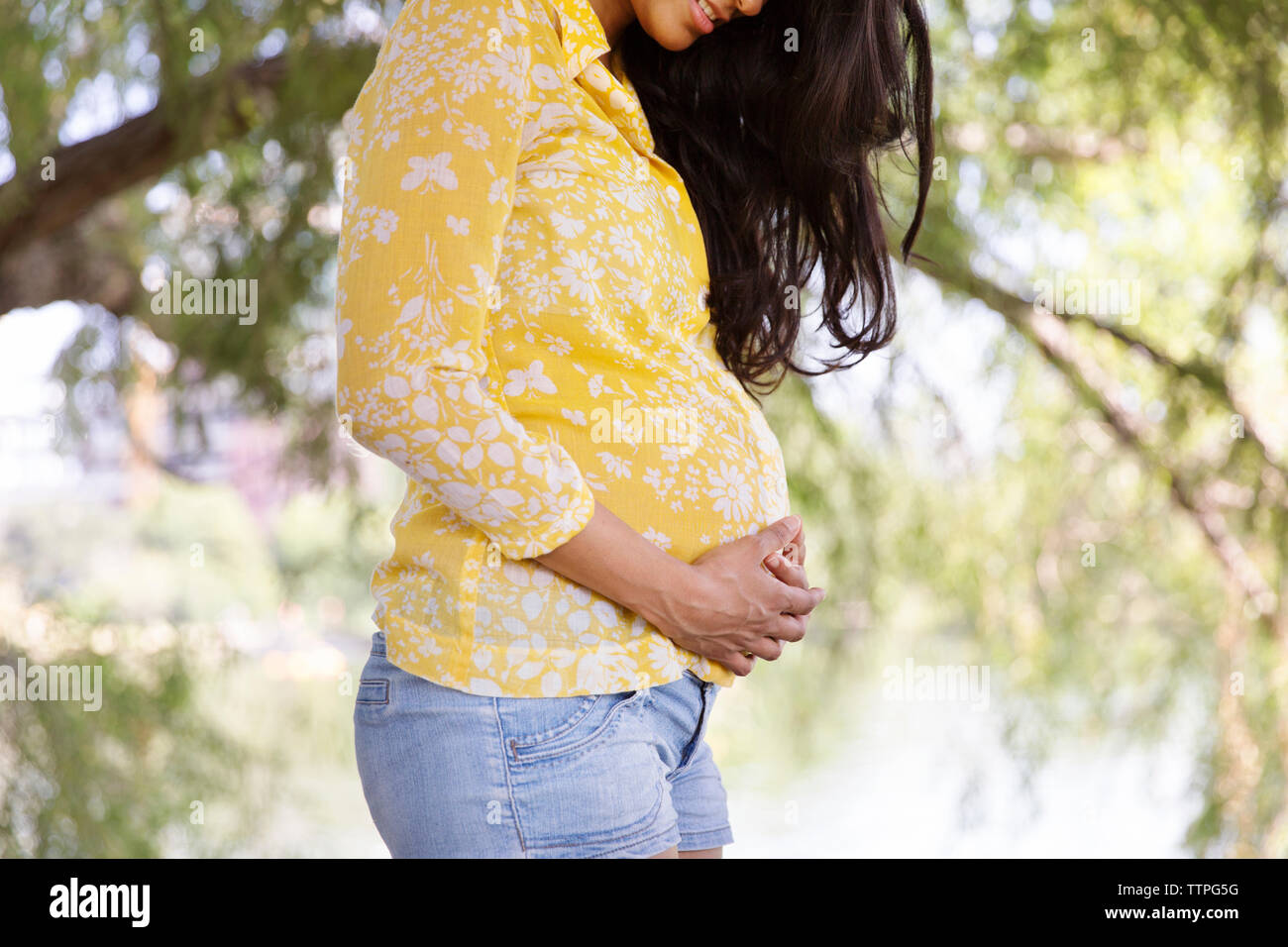 Mittelteil der schwangeren Frau mit Händen auf Magen stehen im Park Stockfoto