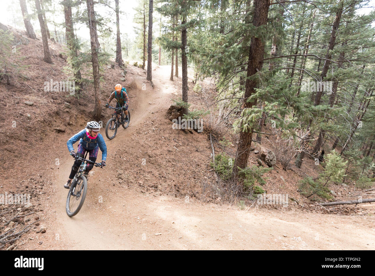 Hohe Betrachtungswinkel von Freunden Mountainbiken im Wald bei "Lair" o Stockfoto