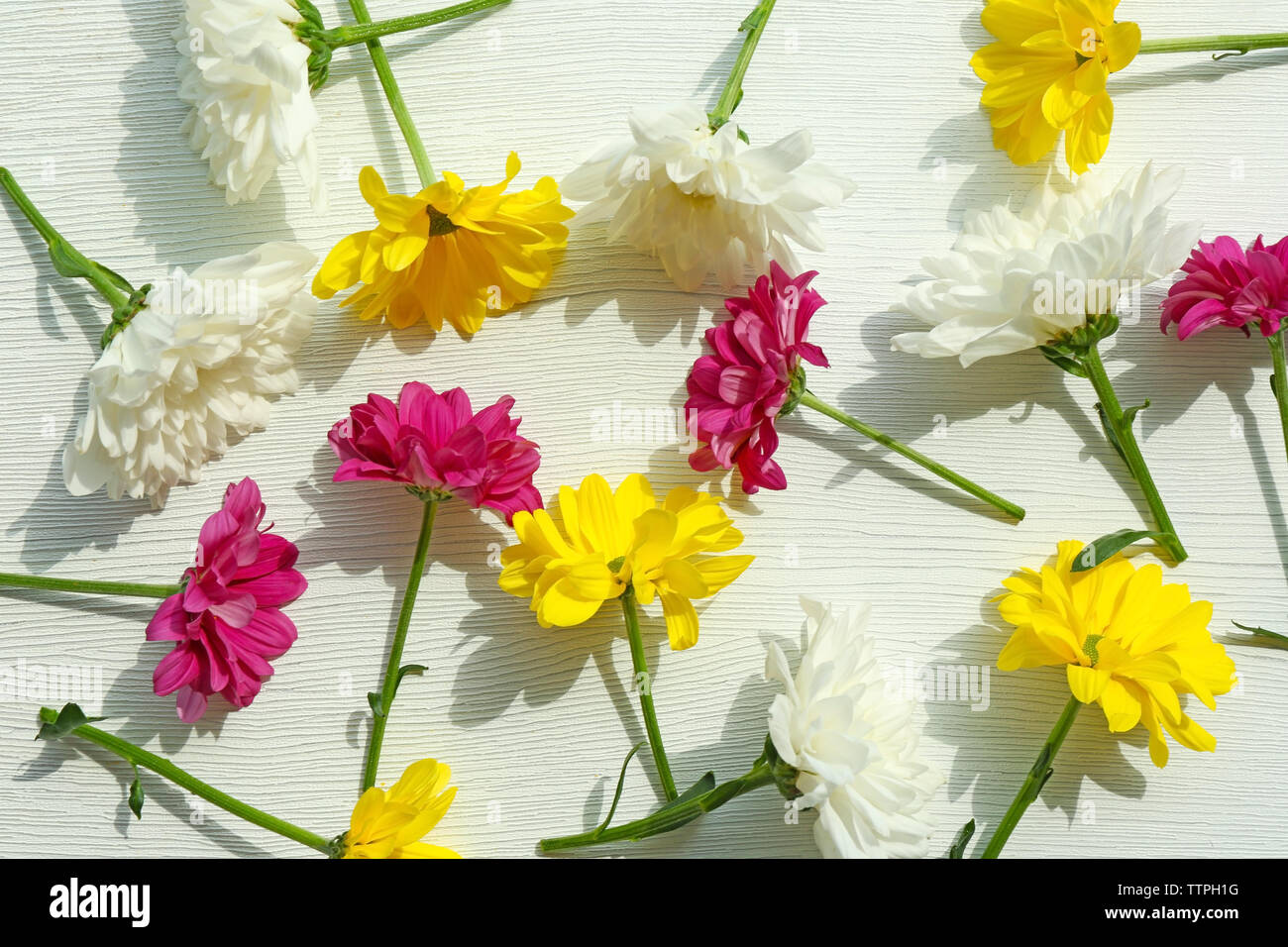 Schöne Blumen Hintergrund Stockfoto