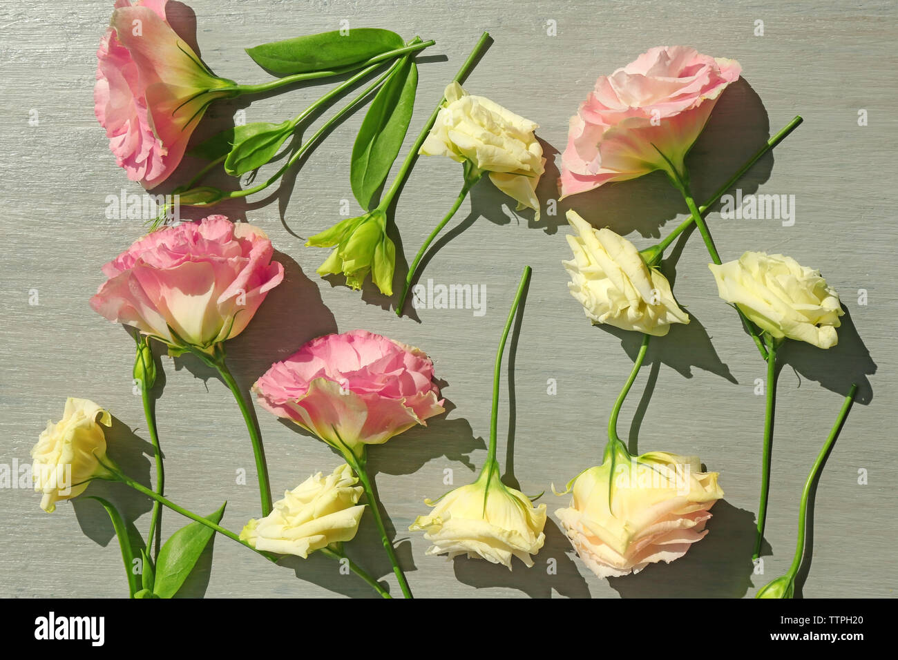 Schöne Blumen Hintergrund Stockfoto