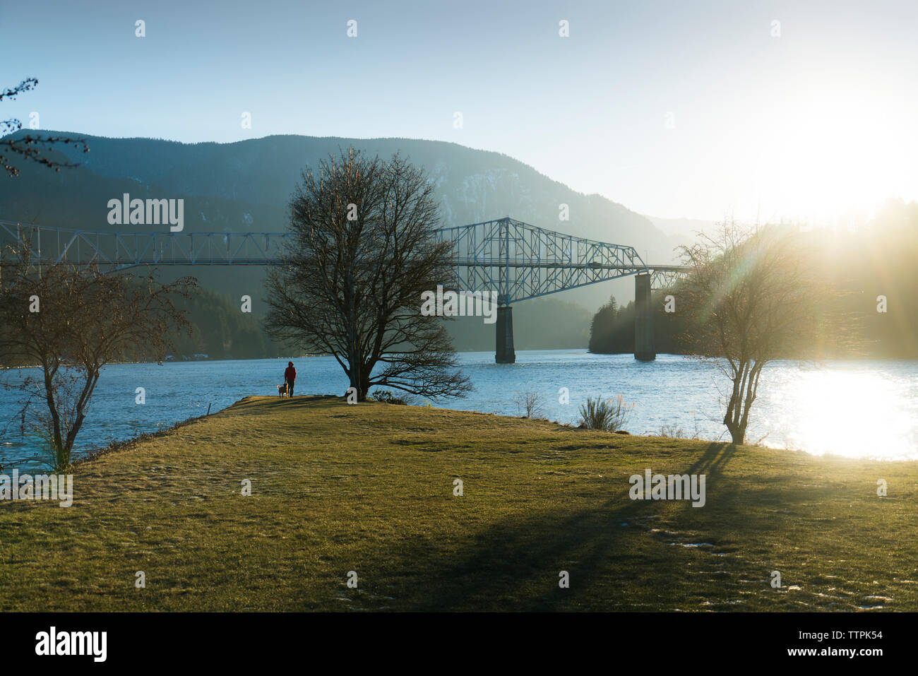 Fernsicht auf Wanderer mit Golden Retriever stehend am Ufer von Brücke Stockfoto