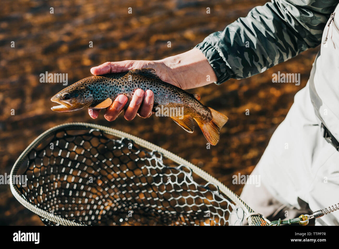 Mittelteil der Wanderer holding Fisch beim Stehen in Fluss Stockfoto