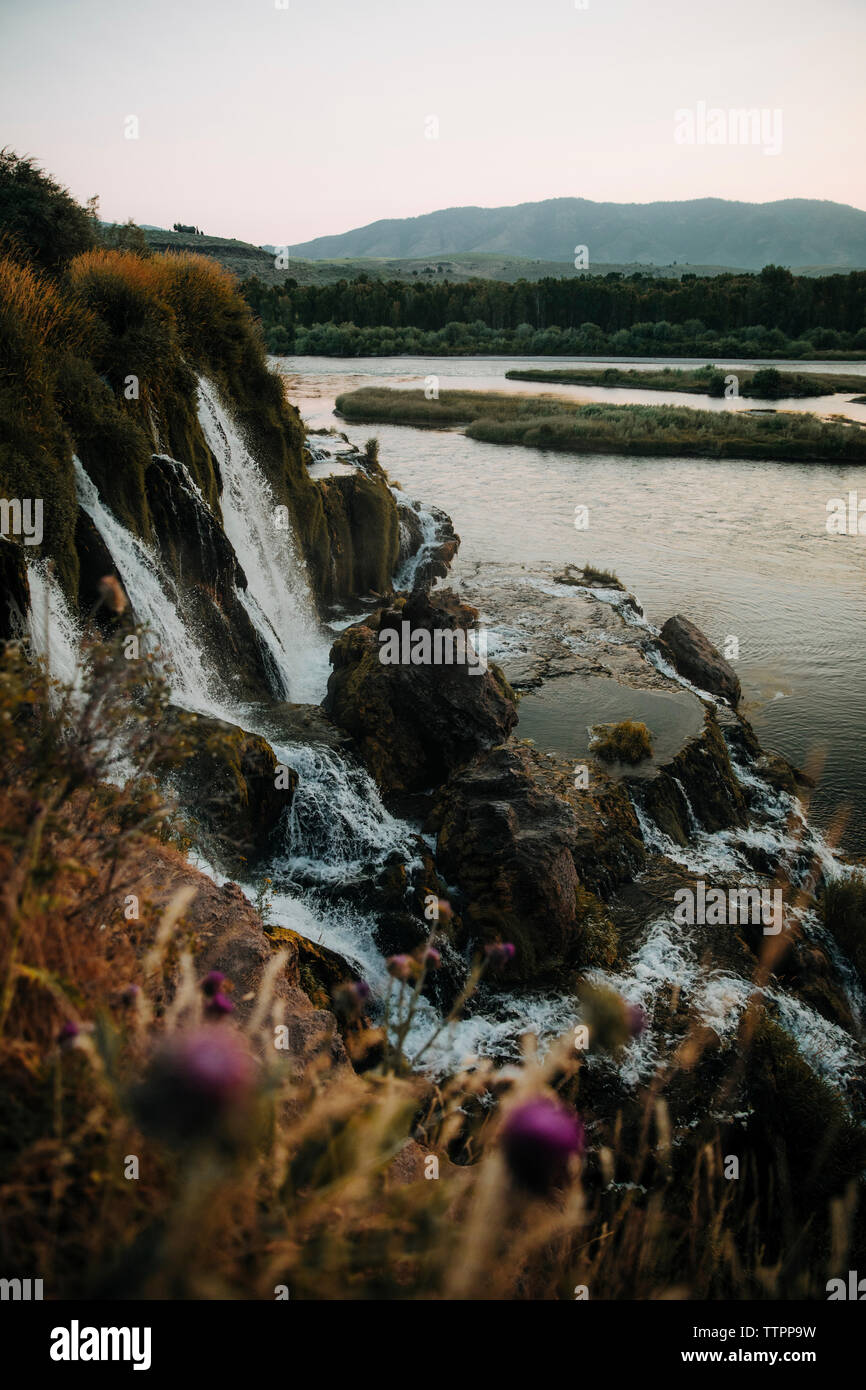 Malerischer Blick auf den Wasserfall auf Felsen gegen den klaren Himmel im Wald bei Sonnenuntergang Stockfoto