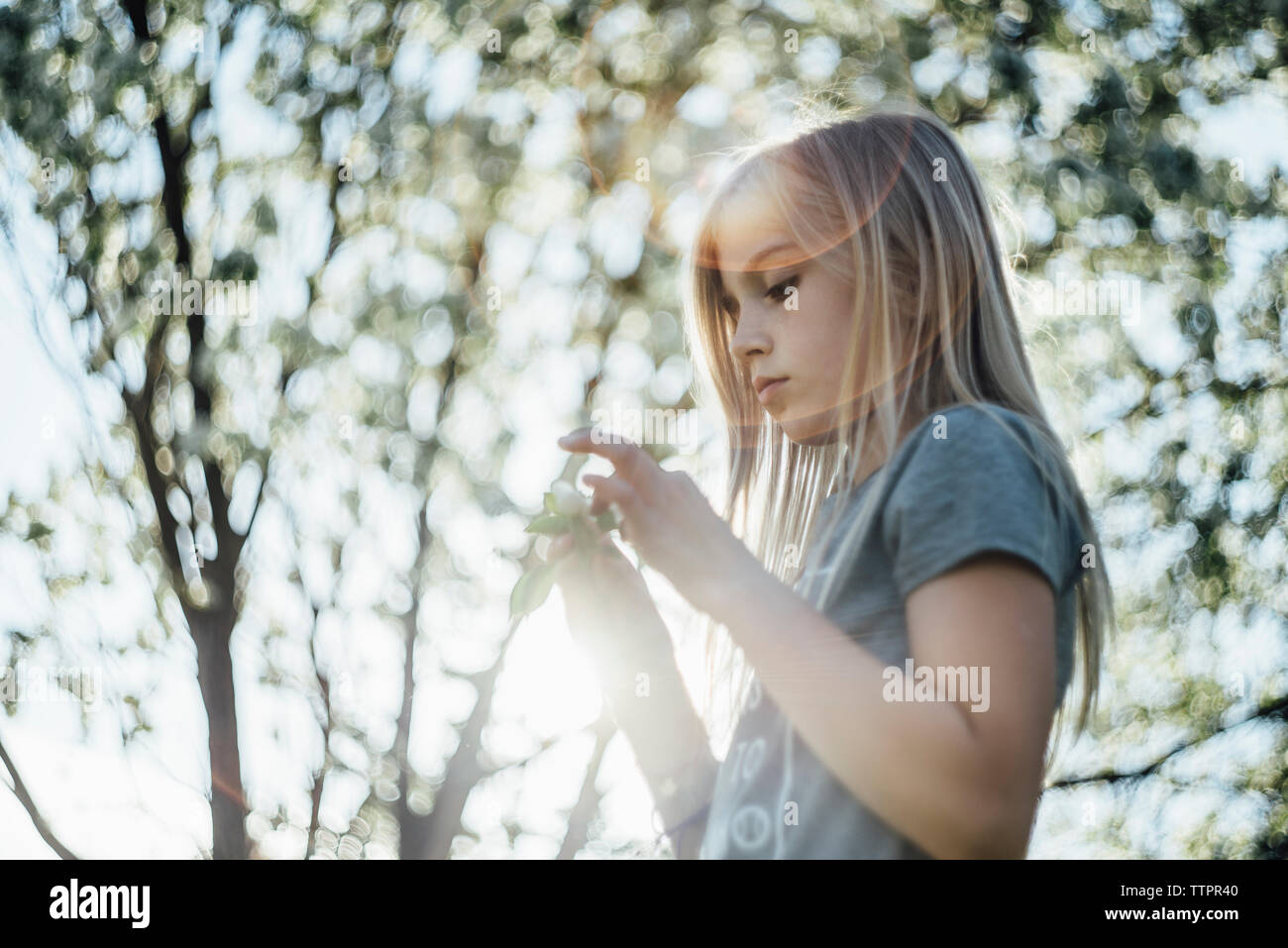 Seitliche Sicht auf Mädchen mit Blume im Stehen gegen Baum Stockfoto