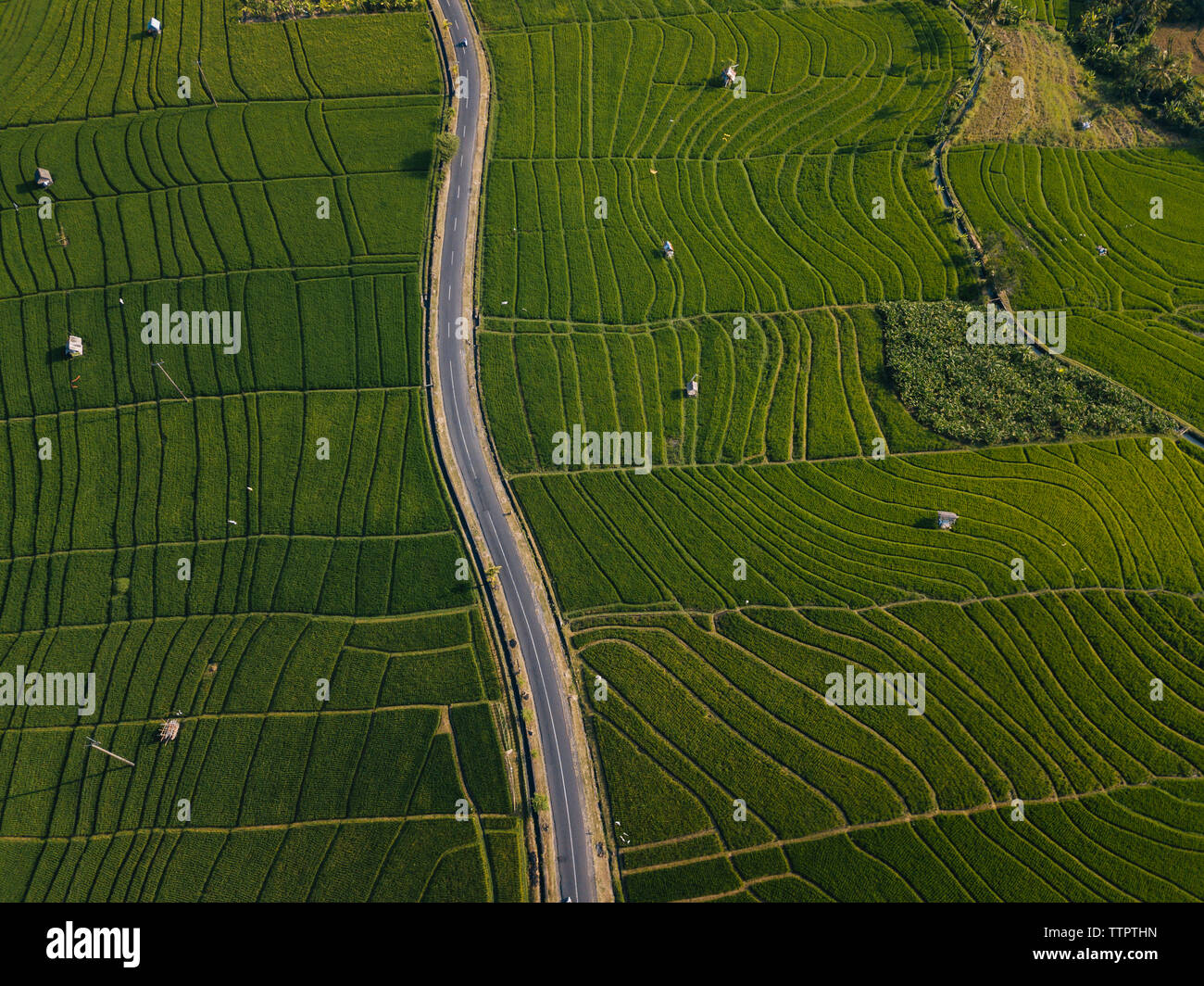 Luftaufnahme von leere Straße inmitten landwirtschaftlicher Bereich Stockfoto