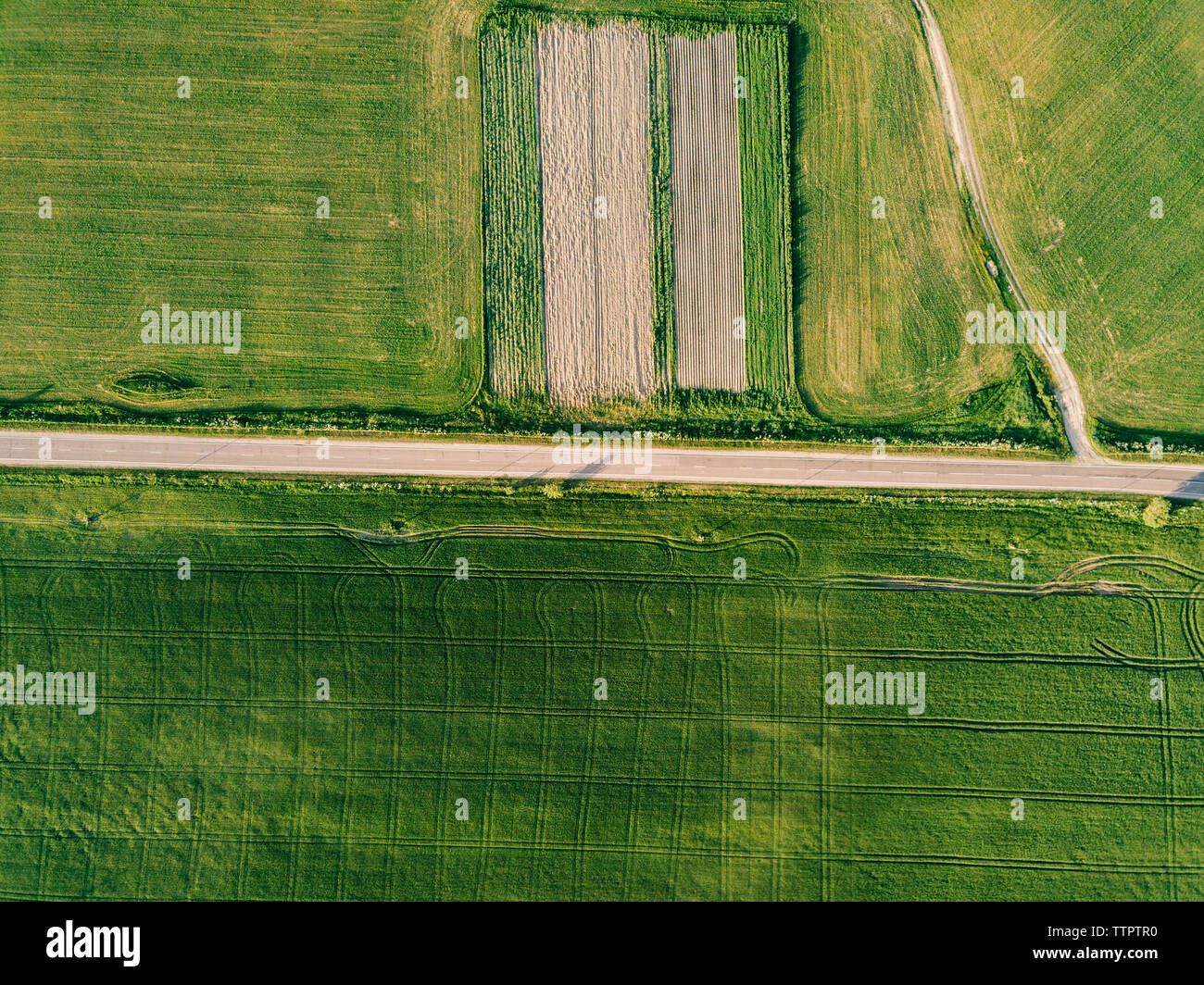 Luftaufnahme von leere Straße inmitten einer Kulturlandschaft während der sonnigen Tag Stockfoto