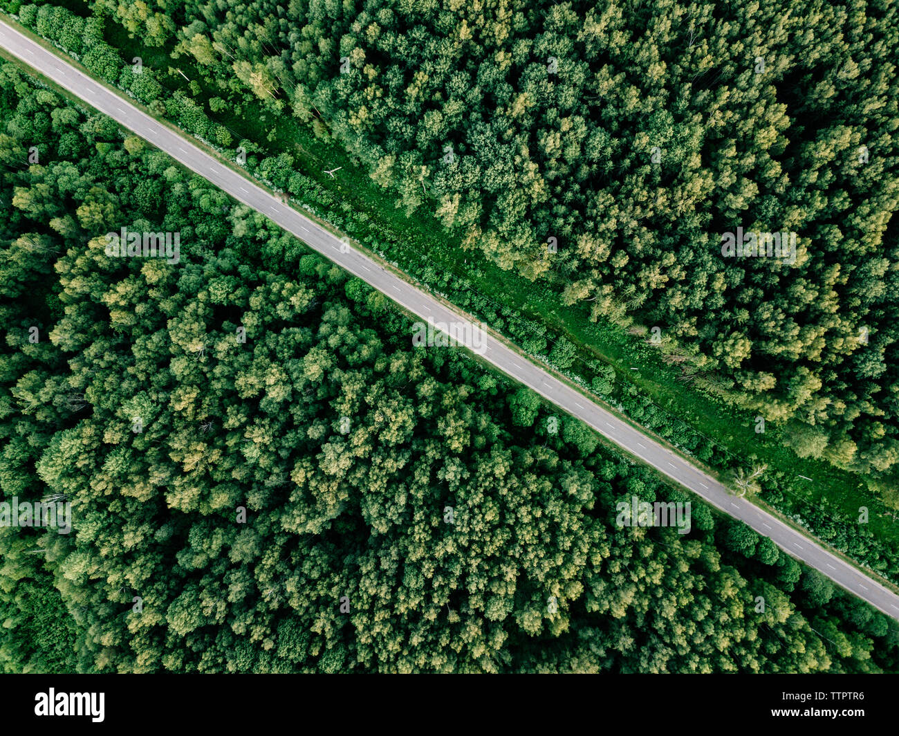 Luftaufnahme von leere Straße inmitten von Bäumen in Wäldern Stockfoto