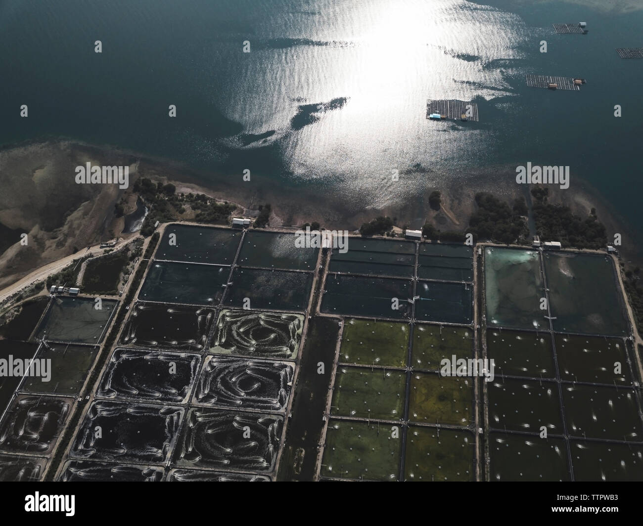Luftaufnahme von Shrimp Farm Stockfoto