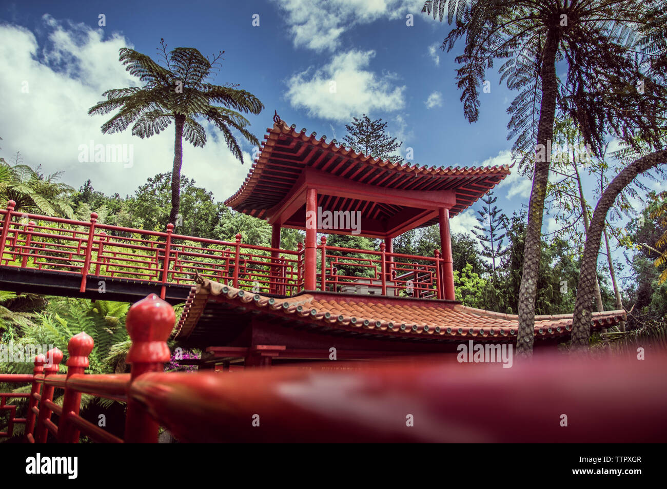 Chinesischer Garten Monte Palace Madeira Stockfoto