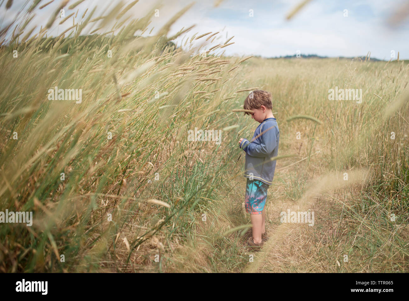 Junge stehend auf Feld an einem o Nuevo State Park Stockfoto