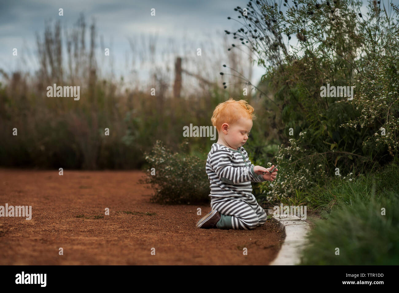 Seitenansicht des baby boy Holding Stick während kniend im Park Stockfoto