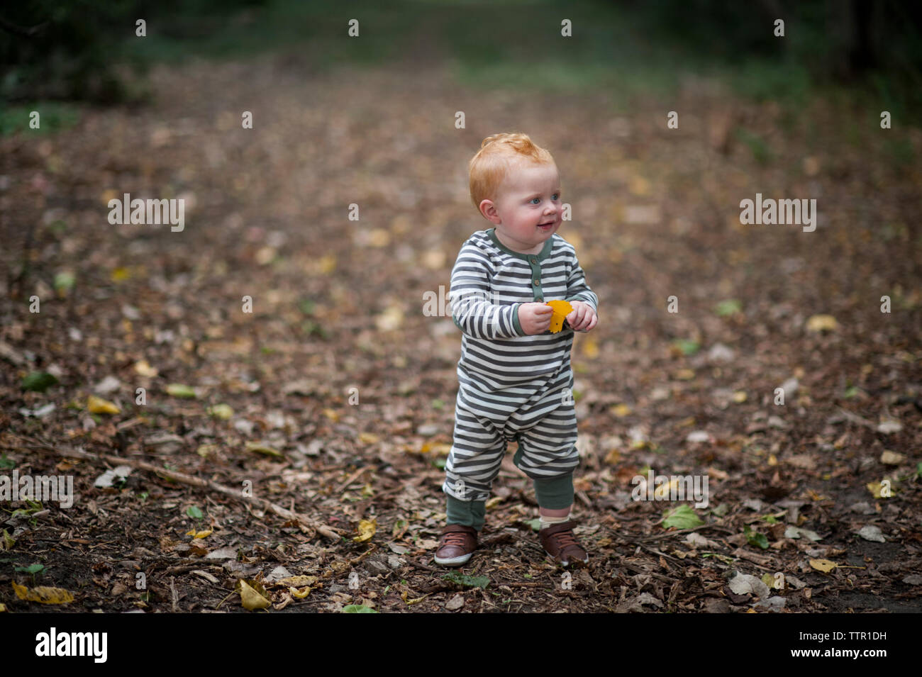 Cute Baby Boy holding Blatt während Weg im Park suchen Stockfoto