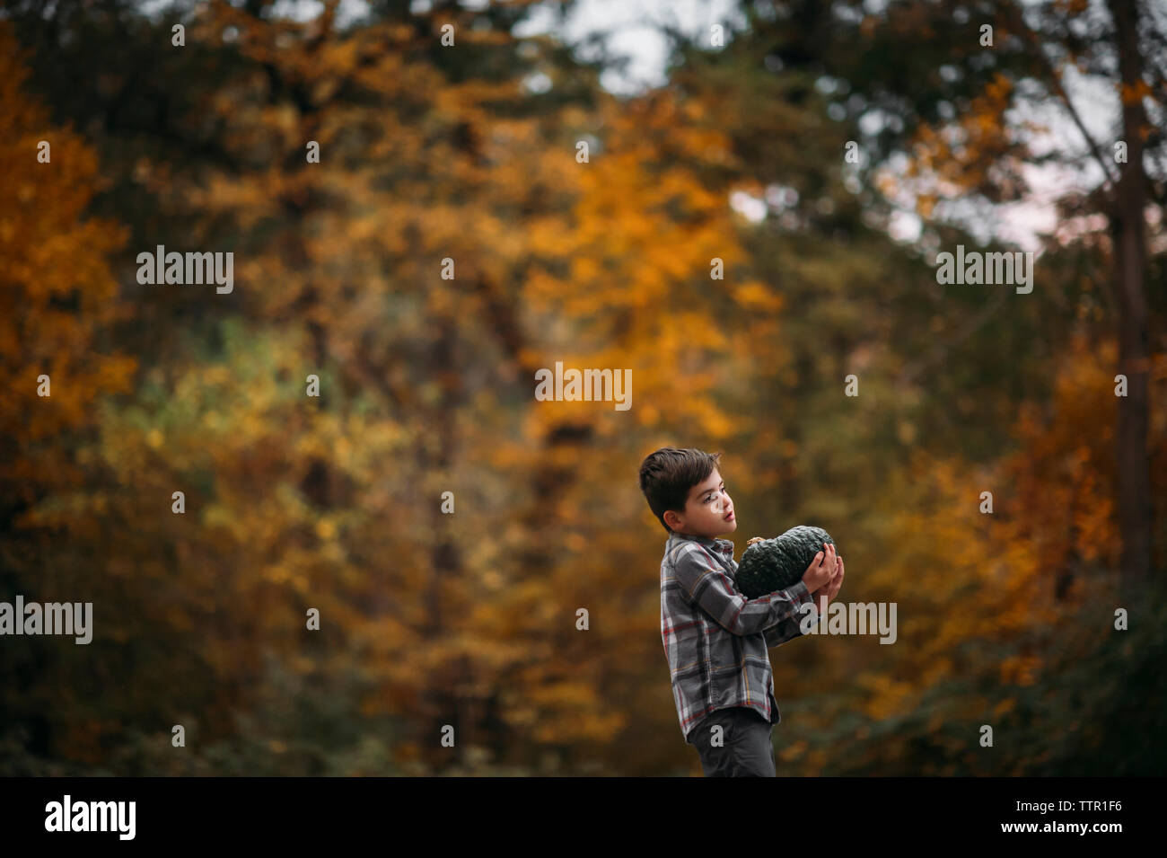 Seitenansicht der Junge mit Kürbis im Park Stockfoto