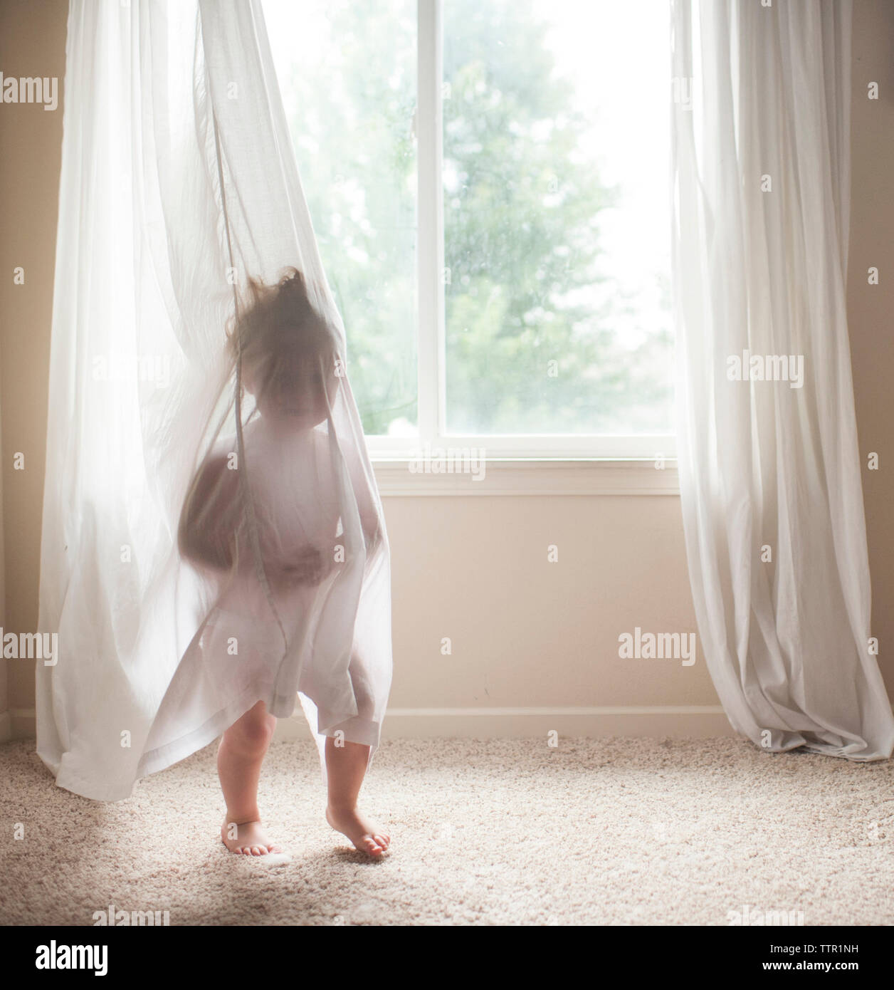 Volle Länge des Baby Junge spielt mit Vorhang zu Hause Stockfoto