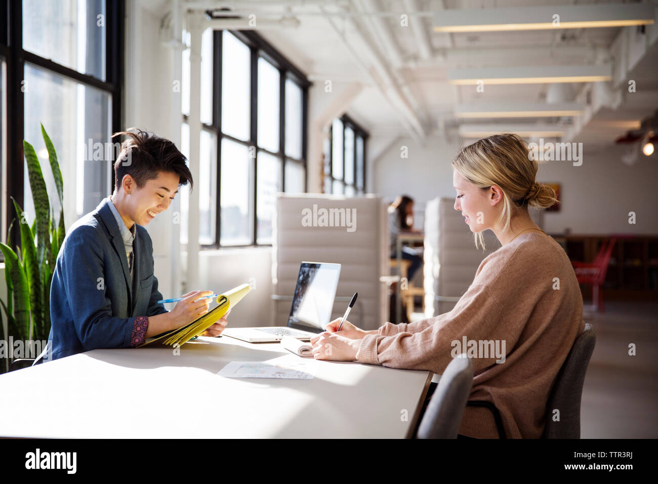 Geschäftsfrauen, die im Büro am Schreibtisch arbeiten Stockfoto