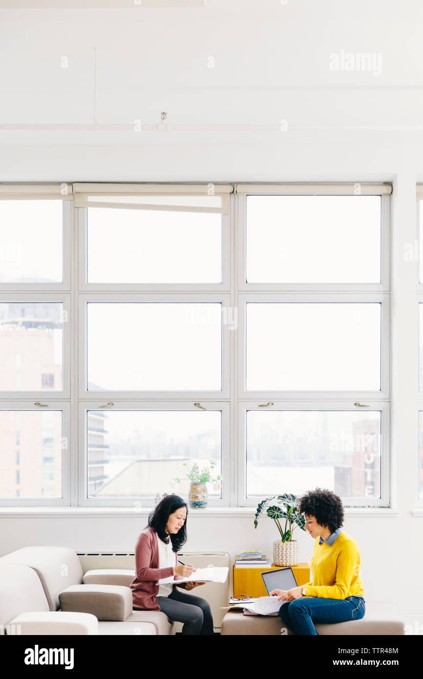 Geschäftsfrauen, die Dokumente untersuchen, während sie im Büro gegen Fenster arbeiten Stockfoto