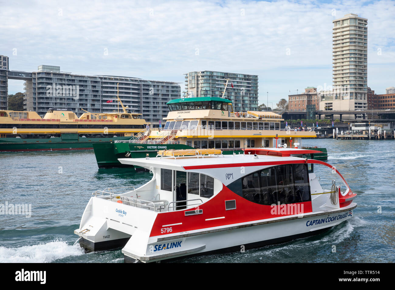 Captain Cook Cruises Yacht und Sydney Ferries im Hafen von Sydney am Circular Quay, Sydney, Australien Stockfoto