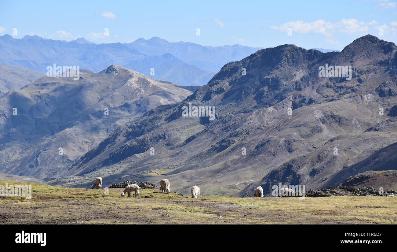 Landschaft in der Nähe der Berg Ausangate Stockfoto