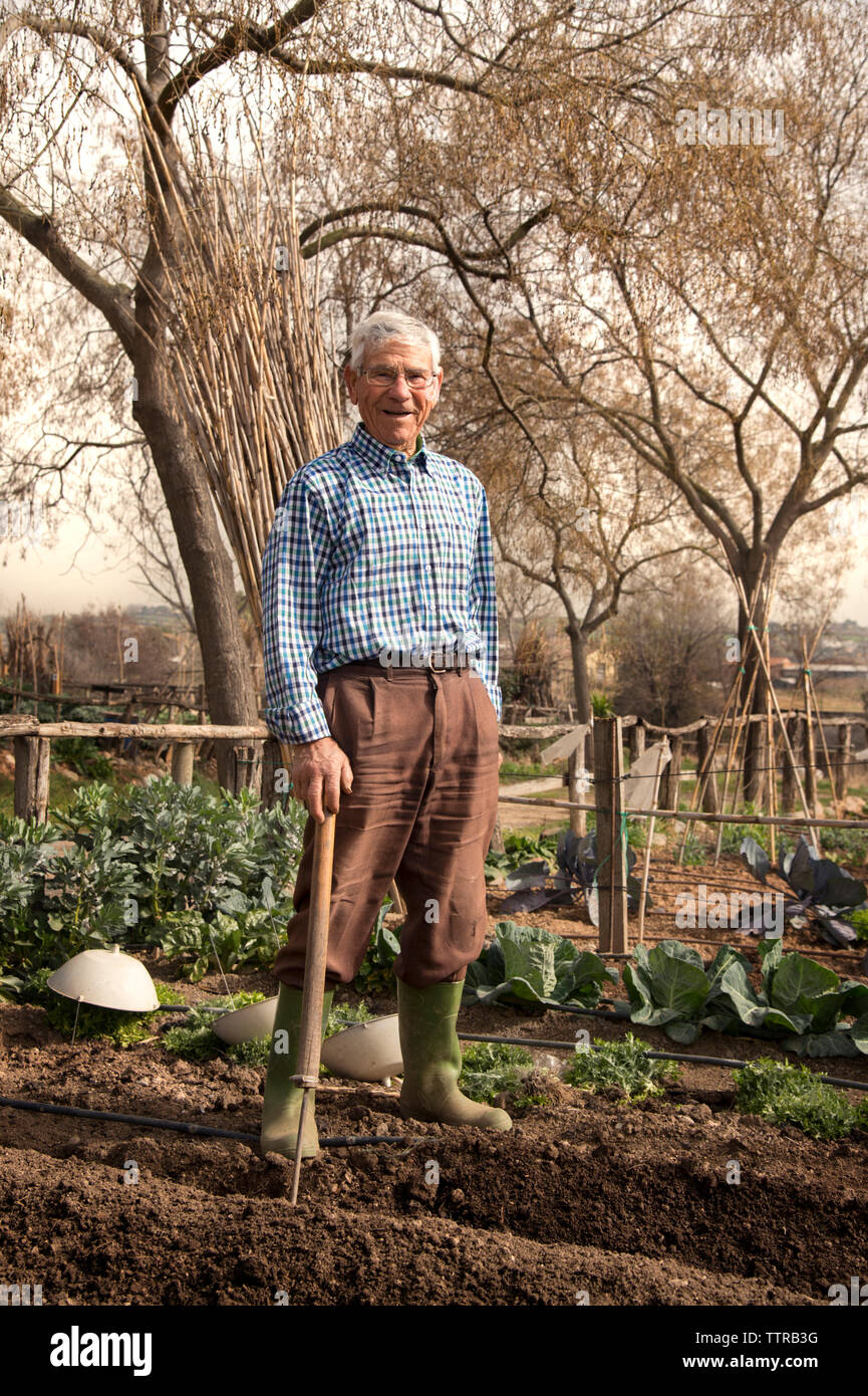 Portrait von Senior Bauer Holding Werkzeug beim Stehen auf Feld Stockfoto