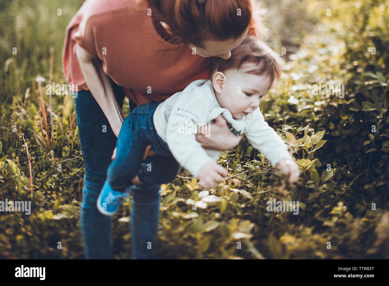 Mutter, Sohn Pflanzen die Ernte auf dem Feld Stockfoto