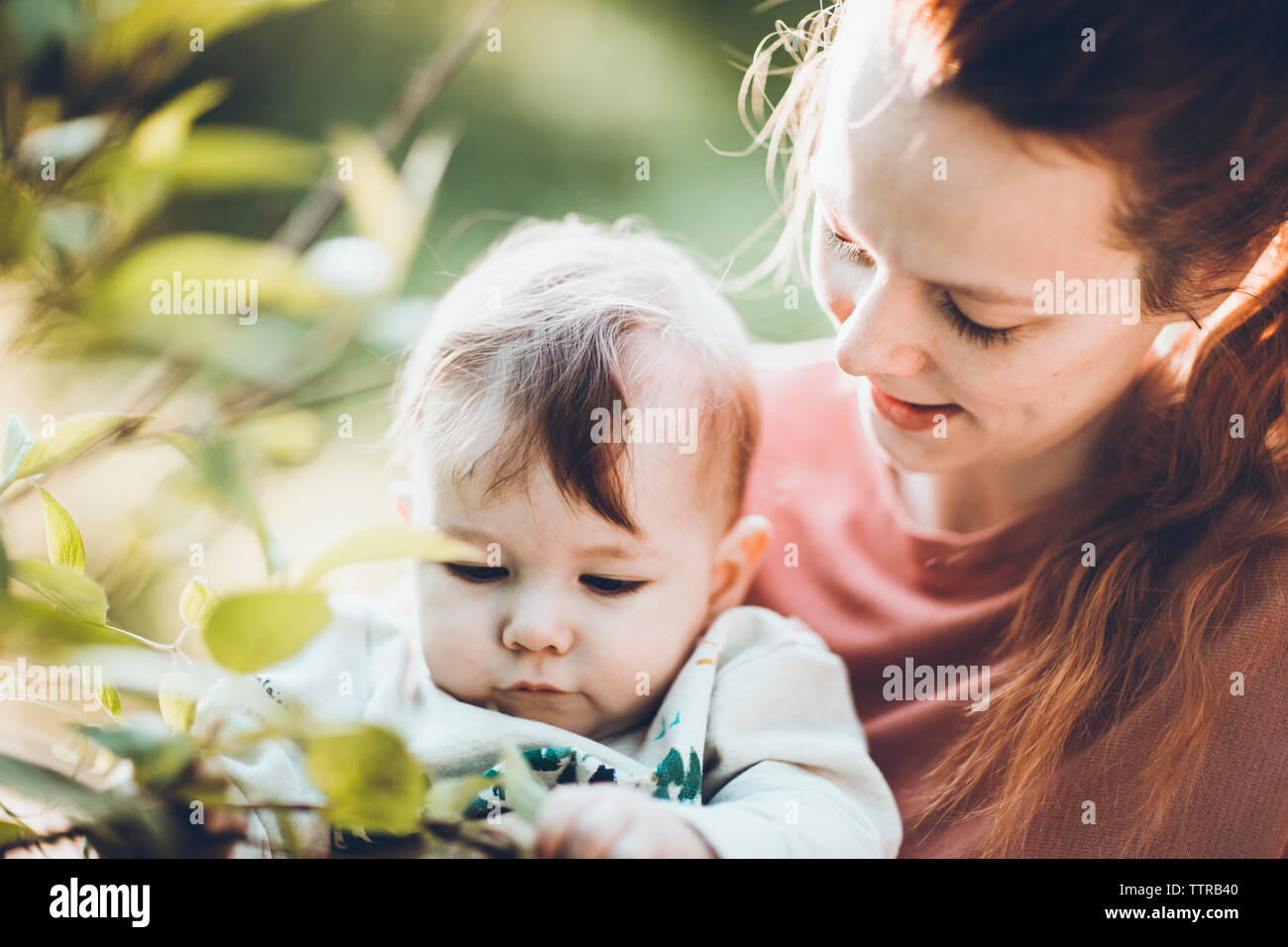 Mutter, Sohn Prüfung Blätter von Pflanzen Stockfoto