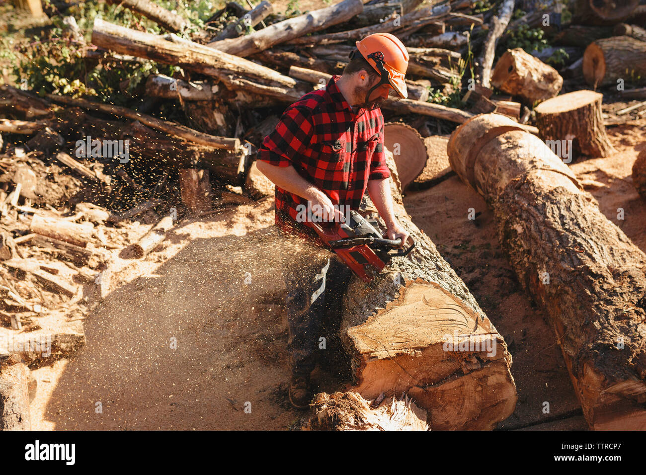 Seitenansicht der Holzfäller Schneiden von Holz mit Kettensäge Stockfoto