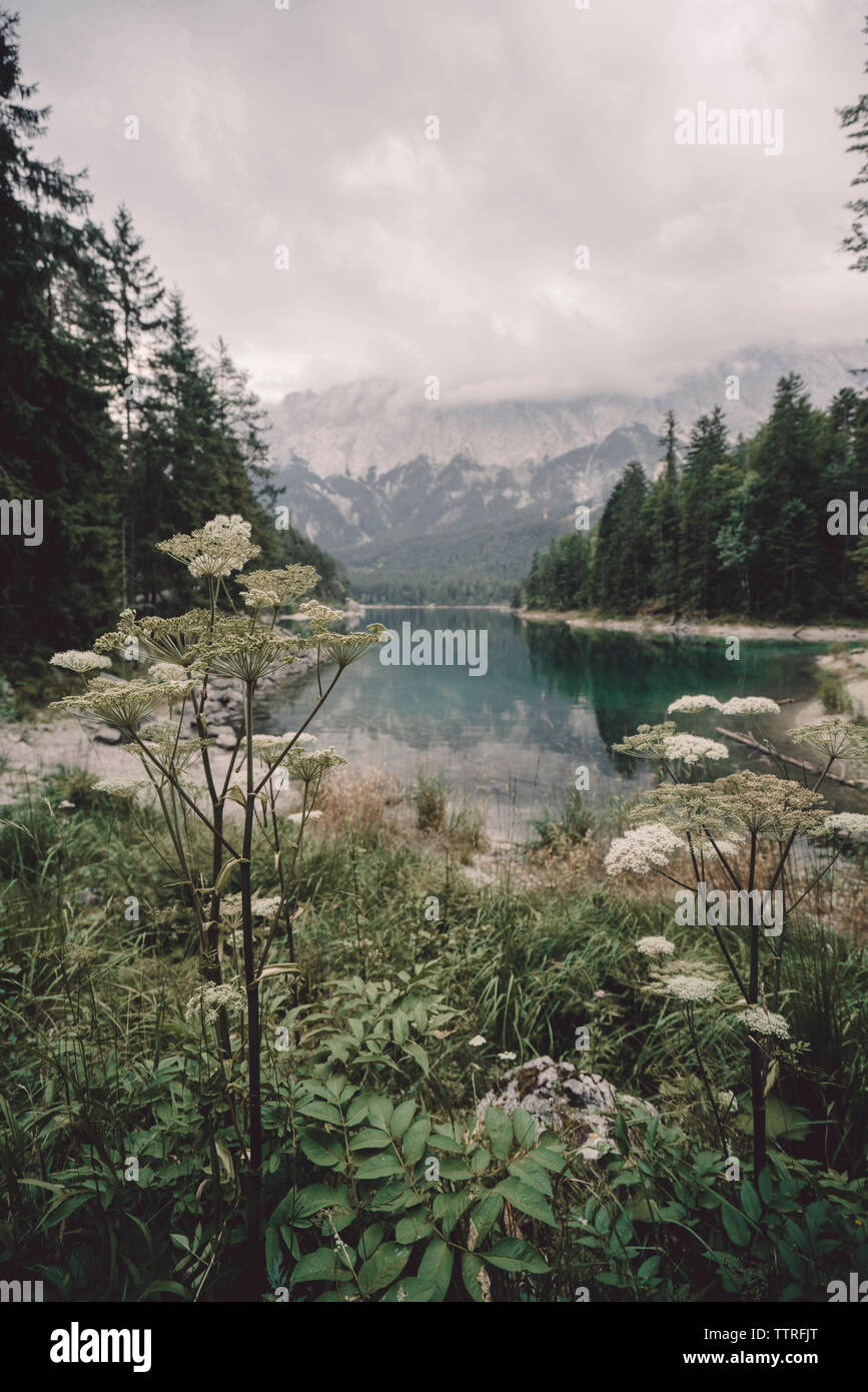 Malerischer Blick auf den See gegen Berge Stockfoto