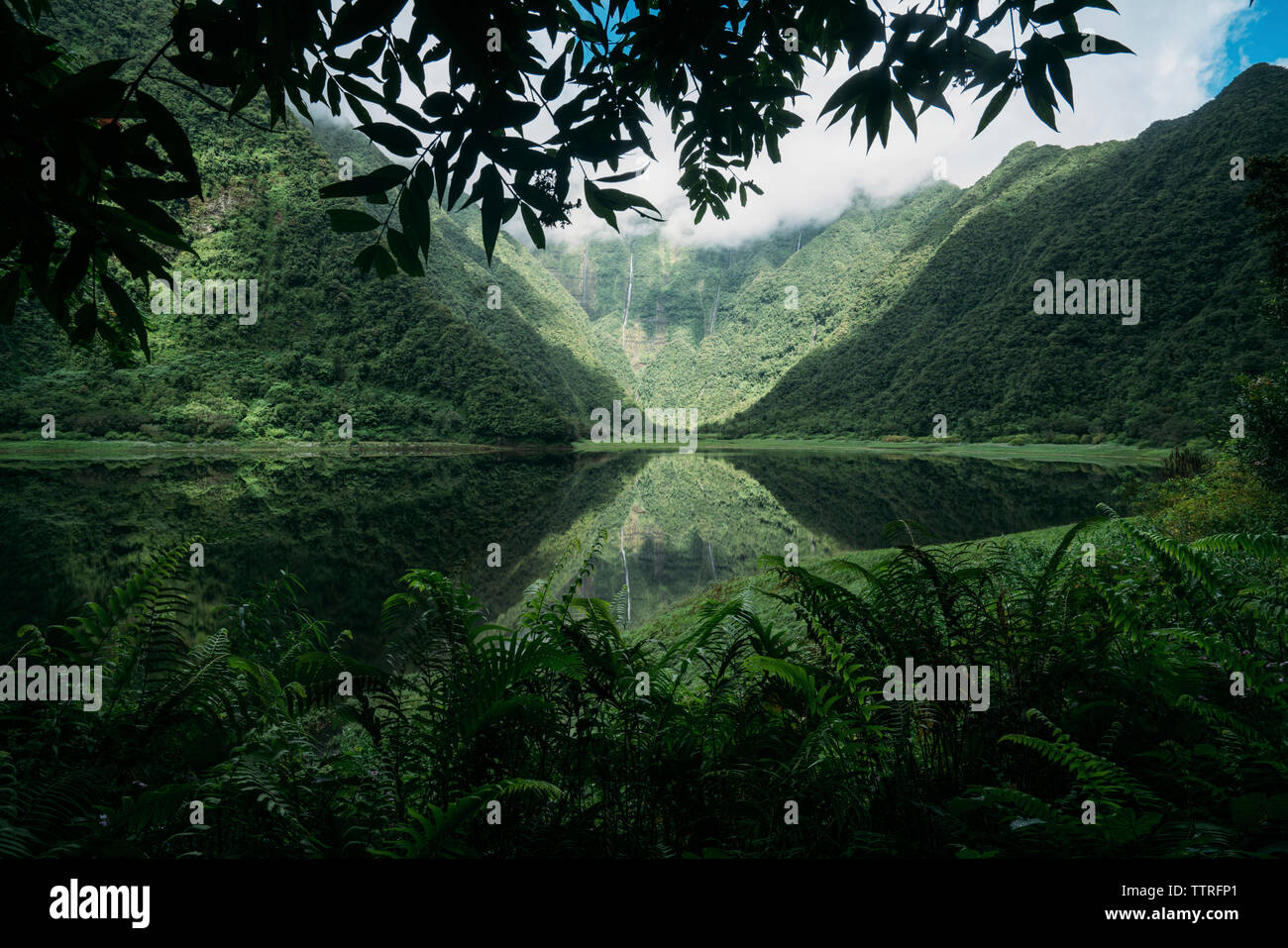 Malerischer Blick auf ruhigen See inmitten von Bergen, Wald Stockfoto