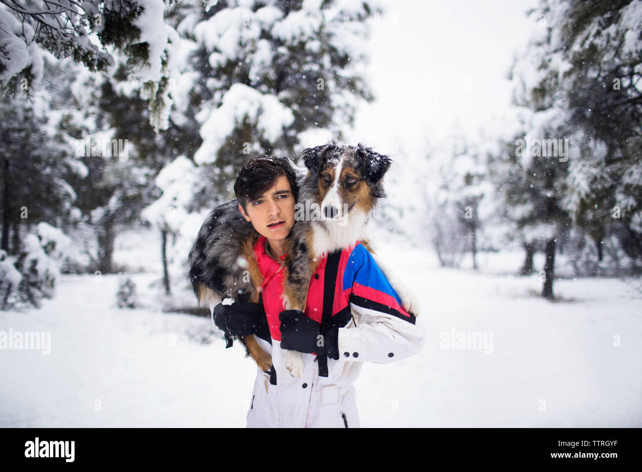 Teenager, die Australian Shepherd auf den Schultern auf schneebedeckten Feld Stockfoto