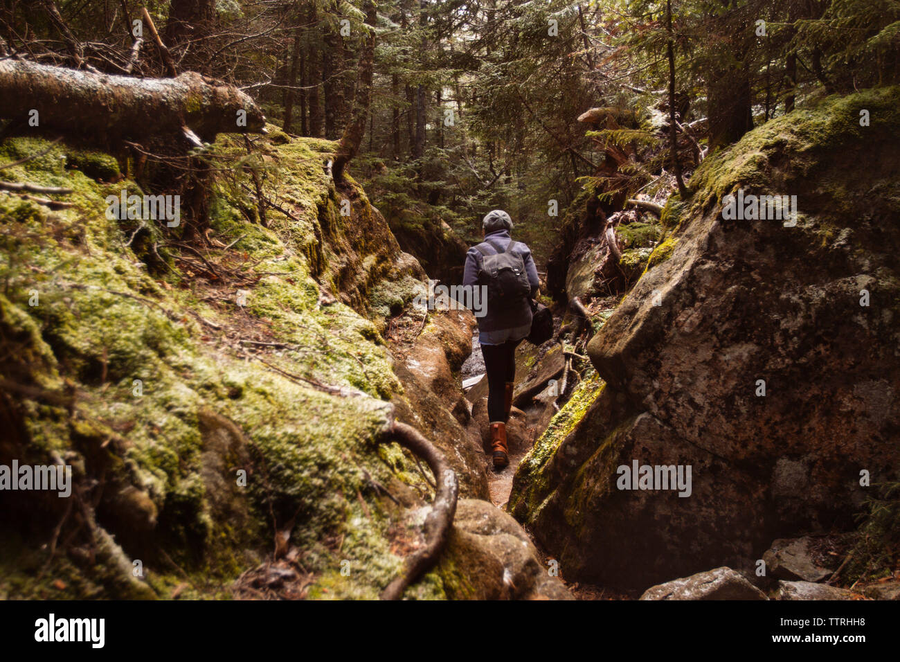 Ansicht der Rückseite Frau wandern inmitten von Moos Felsen im Wald bedeckt Stockfoto