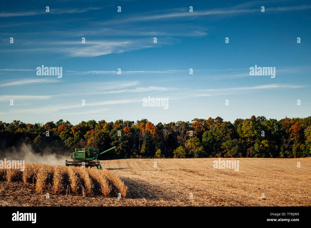Mähdrescher auf dem Feld gegen bewölkter Himmel Stockfoto