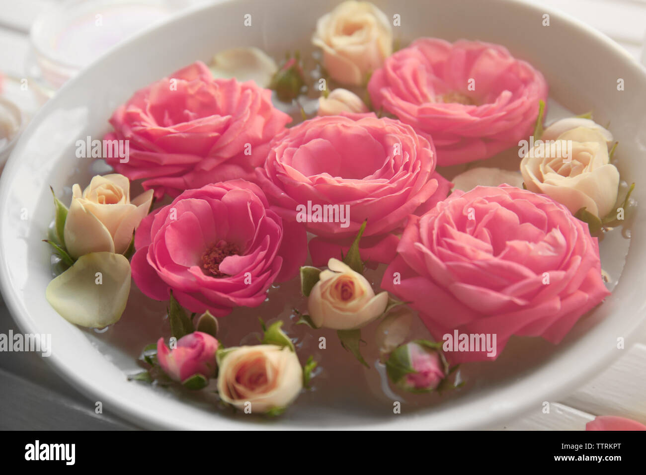 Schüssel mit Rosen in Wasser Nahaufnahme Stockfoto