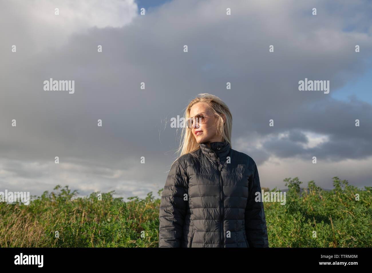 Nachdenkliche Frau zwischen Feld mit grünen Pflanzen Stockfoto