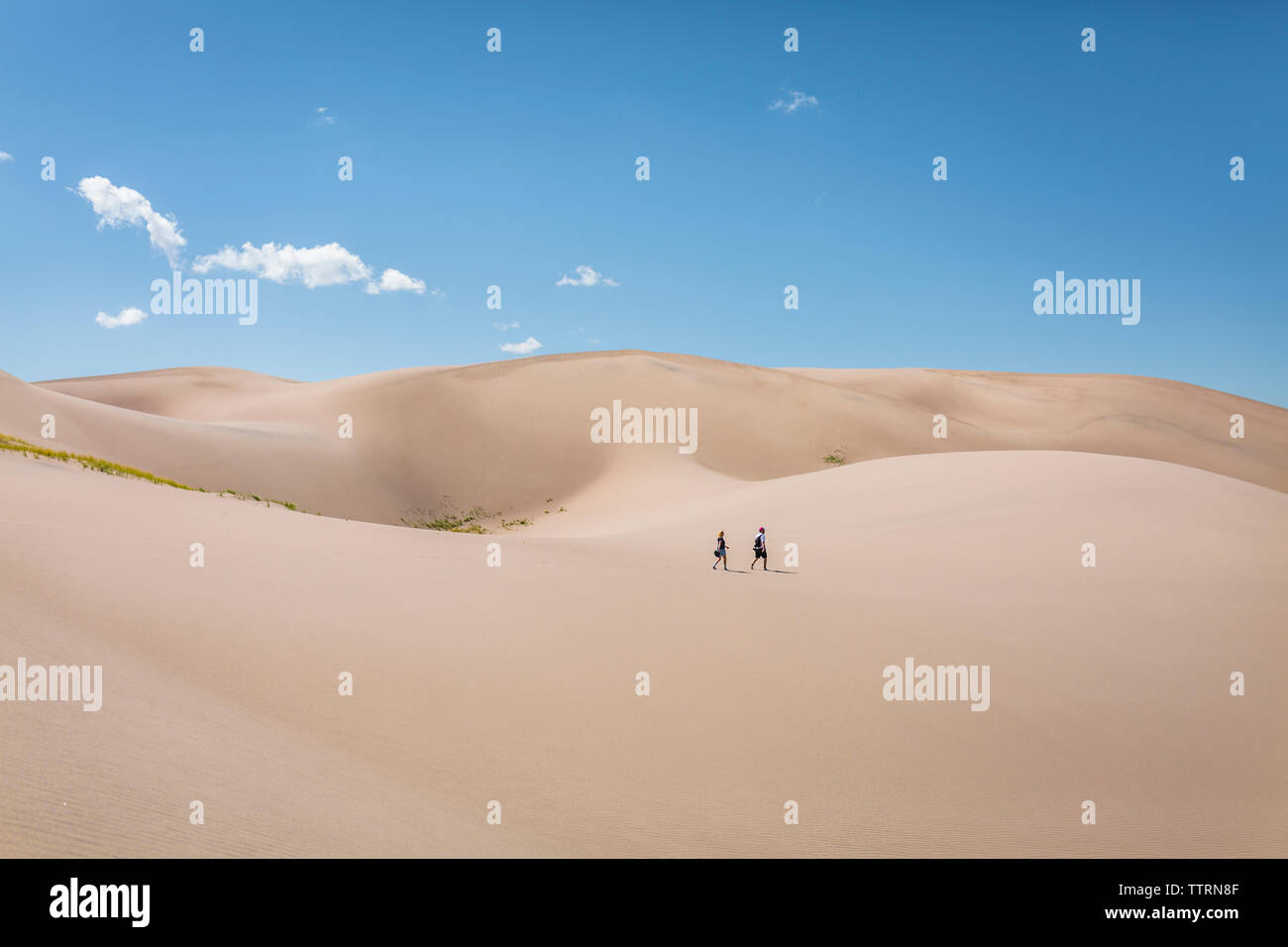 Hohe Betrachtungswinkel der Wanderer zu Fuß auf Wüste im Great Sand Dunes National Park während der sonnigen Tag Stockfoto