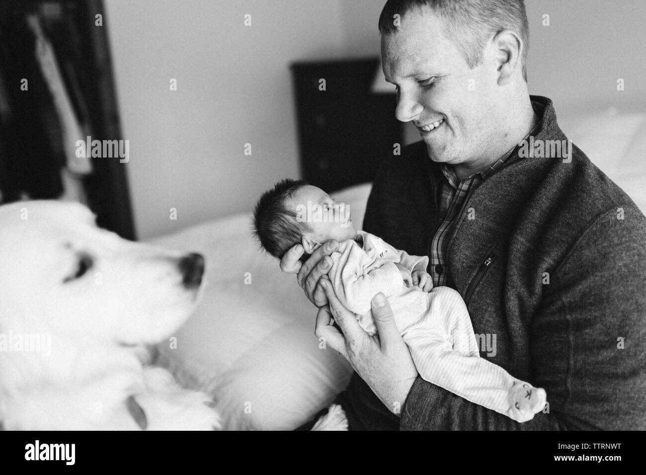 Glücklicher neuer Vater hält sein neugeborenes Baby Mädchen auf dem Bett, während Hund Uhren Stockfoto