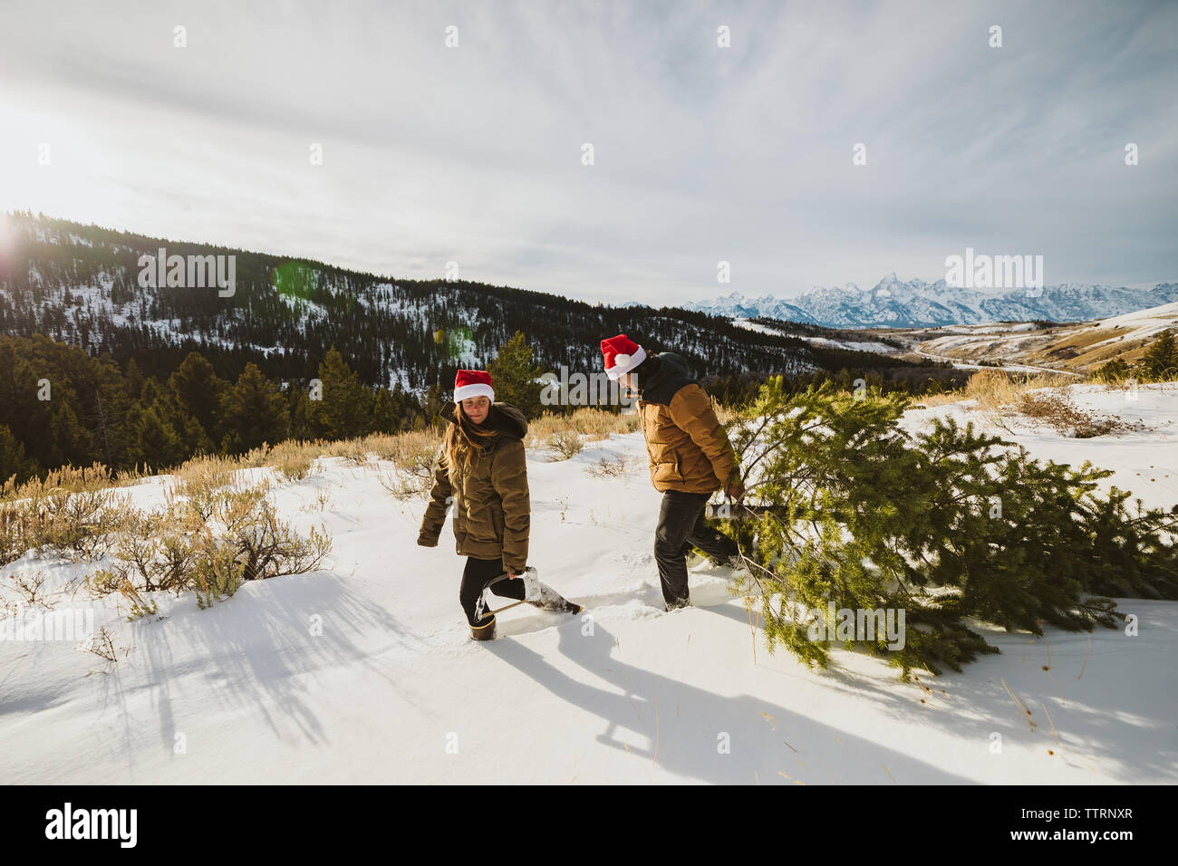 Junges Paar in geschwollene Jacken und nikolausmützen Wanderung mit Weihnachtsbaum Stockfoto